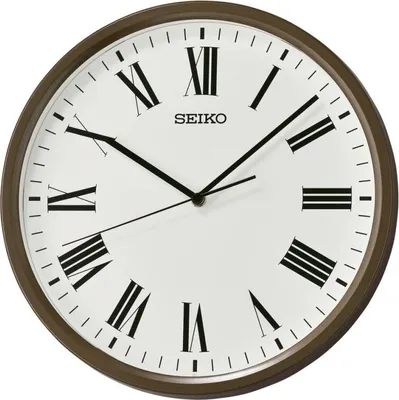 Immagine prodotto di Sveglia Seiko QHA009B