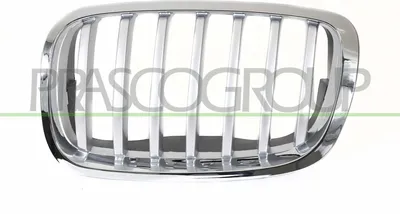 Produktbild von PRASCO BM8402034 Kühlergrill Frontgrill für BMW X6 (E71, E72) Links Titan Chrom