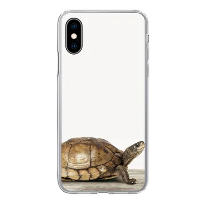 Produktbild von MuchoWow® Handyhülle Schutzhülle Hülle für iPhone X Schildkröte - Junge - Tiere - Kinder - Mädchen Silikon Softcase Handy Hülle - Handyhülle