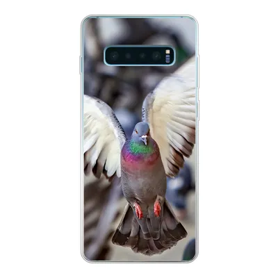 Produktbild von MuchoWow® Handyhülle Schutzhülle Hülle für Samsung Galaxy S10 Lite Nahaufnahme einer fliegenden Taube Silikon Softcase Handy Hülle - Schutz