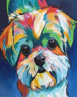 Malen nach Zahlen Set – Bunter Hund, 40 x 50 cm, Acryl, ohne Rahmen