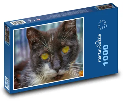 Obrázok produktu pre Puzzle 1000 Krásna čiernobiela mačka - martinpuzzle