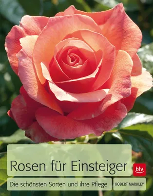 Zdjęcie produktu dla Rosen für Einsteiger