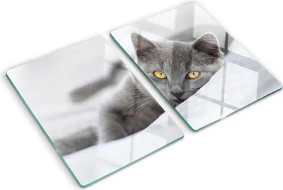 Imagen del producto de Cubierta para placa de cocina – Cubierta para placa de inducción – Placa de vidrio protectora – 2x40x52 cm – Placas de vidrio protectoras para cocina – Vidrio templado – Gato gris