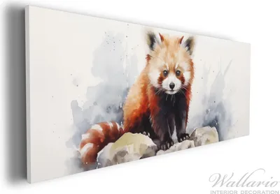 Produktbild von Wallario Premium Leinwandbild Neugieriger Rotpanda in Größe 30 x 75 cm