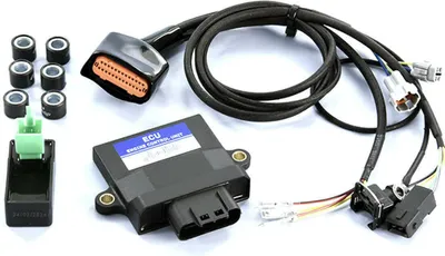 Immagine prodotto di Centralina ECU POLINI peugeot kisbee 50 e5