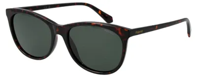 Image de POLAROID SUNGLASSES Lunettes de soleil PLD 4161_S 55086UC