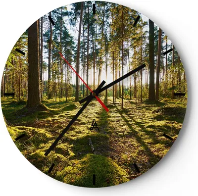 Produktbild von Wanduhr - Rund - Glasuhr - Wald Baum Natur - 40x40cm - Schleichendes Uhrwerk - Lautlos - zum Aufhängen bereit - Dekoration Modern - Wanddekoration aus Glas - C3AR40x40-3724