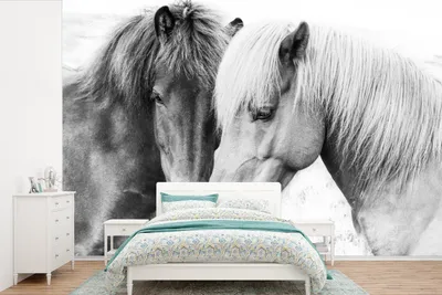 Produktbild von MuchoWow® Fototapete für Wohnzimmer oder Schlafzimmer Wandtapete Vinyl Motivtapete Pferde - Tiere - Schwarz und weiß - Natur - 420x280 cm - Zimmer für Kinder
