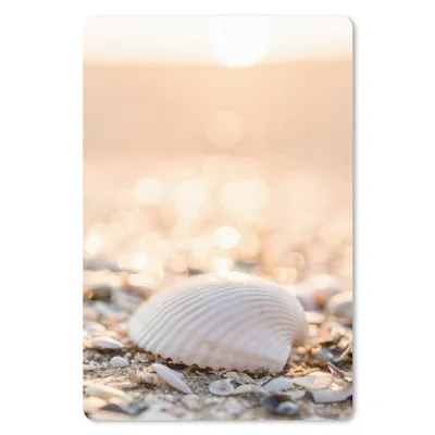 Produktbild von MuchoWow® Mauspad Mousepad Muscheln - Weiß - Strand - Sommer 18x27 cm - Mousepads - Maus Mat - Pad - Mausunterlage
