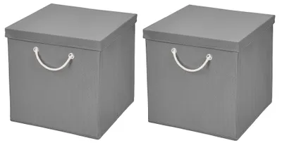 Produktbild von 2 Stück Hellgrau Faltbox 30 x 30 x 30 cm Aufbewahrungsbox faltbar mit Kordel und mit Deckel