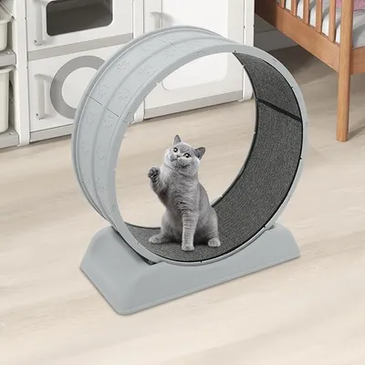 Produktbild von Katzenlaufrad Groß 80cm Durchmesser, Flüsterleises Laufrad für Katzen mit Kratzschutzteppich, Freilaufendes Katzenrad für Indoor Training, Sicherheitsverschluss & Spielstab, Grau
