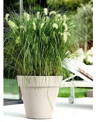 Image de Pot de fleurs ELHO Pure Rond 40, Blanc, Ø 39 x H 36 cm, 100% Recyclé