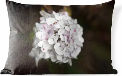 Produktbild von MuchoWow® Outdoor Kissen - Weiße Hortensie vor schwarzem Hintergrund - 60x40 cm - Wetterfest - Lounge Kissen - Zierkissen - Kissen für Innenräume