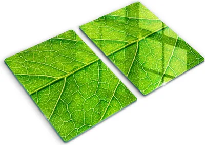 Produktbild von Glasschneideplatte - Herdabdeckplatte - 2x40x52 cm -Schneidebrett - Spritzschutz - Blattlinien Natur