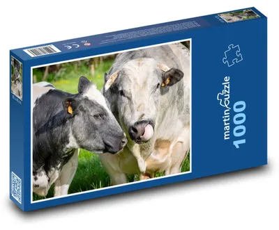 Produktbild von Puzzle 1000 Kühe auf der Wiese - martinpuzzle