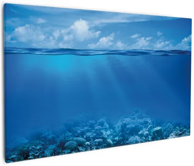 Produktbild von Wallario Premium Leinwandbild Unterwasserwelt Meer in Größe 60 x 90 cm