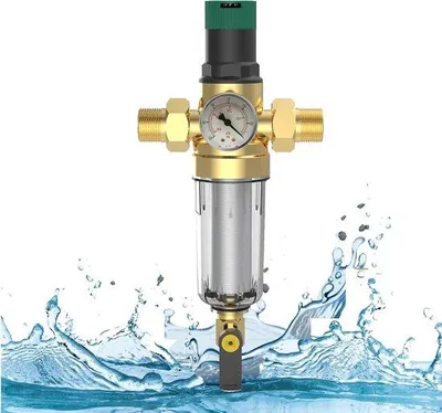 Immagine prodotto di Regolatore di pressione dell'acqua da 1 pollice, manometro, filtro per l'acqua domestico, misuratore