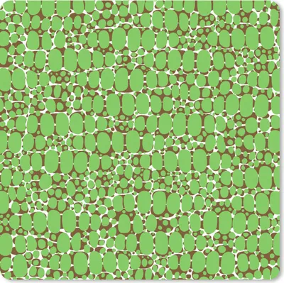 Produktbild von MuchoWow® Mauspad Mousepad Krokodil - Textur - Muster - Grün 20x20 cm - Mousepads - Maus Mat - Pad - Mausunterlage - Desk Mat - Bureauartikeln