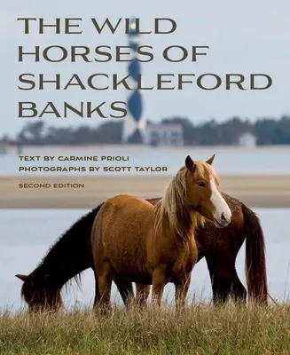 Produktbild von Dokumentarfilm über die wilden Pferde von Shackleford Banks