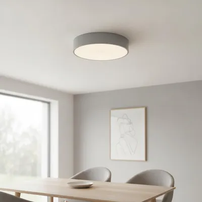 Productafbeelding van Ronde plafondlamp Roda grijs, AI-gegenereerde afbeelding