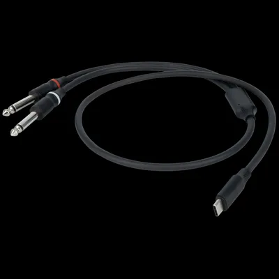 Immagine prodotto di DAP FL111 - USB-C to 2 Mono Jack L/R 1,5 m