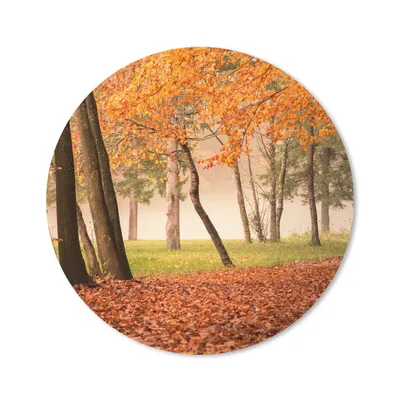 Produktbild von MuchoWow® Mauspad Mousepad Blätter - Herbst - Wald 20x20 cm - Mousepads - Maus Mat - Pad - Mausunterlage - Schreibtischmatte