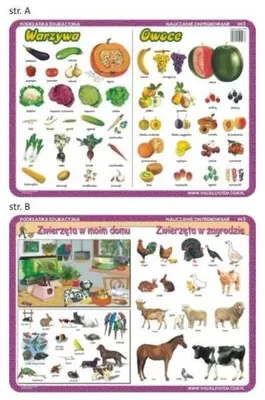 Productafbeelding van Podkładka edu. 003 - Warzywa, owoce, zwierzęta - Visual System