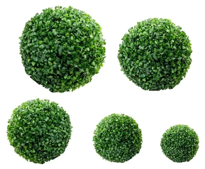 Produktbild von Künstliche Buchsbaumkugeln in Durchmessern von 10cm, 15cm, 20cm, 25cm und 30cm