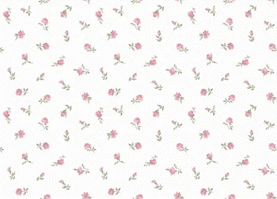 Obrázek produktu pro Sanders & Sanders Tapeta starorůžové květyBílá - 640452 - 53 cm x 10 m