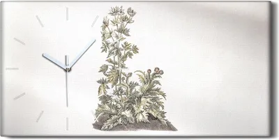 Produktbild von Wandbild Leinwand Bilder mit Uhr Geräuschlos 60x30 Gemälde Blumen Pflanzen Kunst - weiße Hände