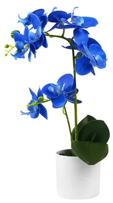 Kunst-Orchidee blau, 2 Stiele, 41 cm, in weißem Topf