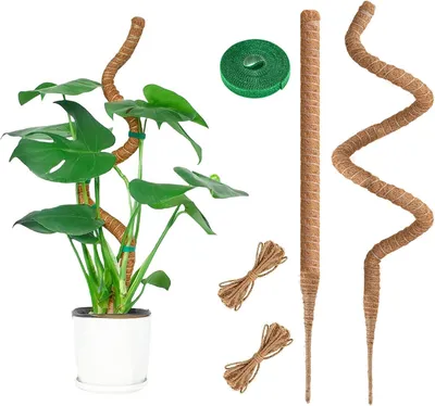 Produktbild von Klimhilfe Kokosfaser, 95 cm, 2 Stück, flexible Pflanzenstütze für Monstera