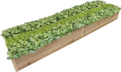 Produktbild von Pflanzkasten Frühbeet Kräuterbeet Blumenbeet von terra-garten