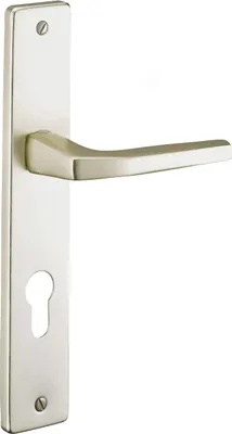 Image de Ensemble de poignées pour porte d'entrée Picardie trou de cylindre, carré 8mm, entr'axes 195mm, couleur champagne - THIRARD