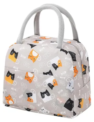 Isolierte Lunchtasche, 22x14x21 cm, wasserdicht, auslaufsicher, grau