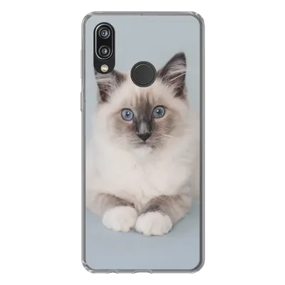 Produktbild von MuchoWow® Handyhülle Schutzhülle Hülle für Huawei P20 Lite (2020) Katze - Ragdoll Katze - Blau - Mädchen - Kinder - Jungen - Kind Silikon Softcase Handy Hülle - Kartenhalter
