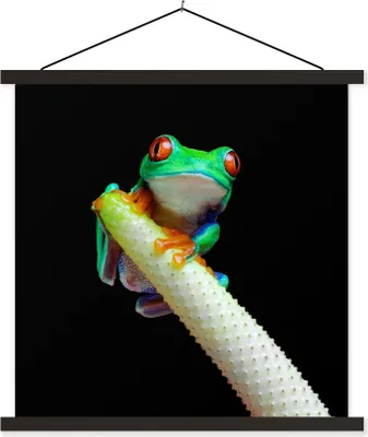 Produktbild von MuchoWow® Textilposter Frosch - Tier - Pflanze 90x90 cm mit schwarzem Rahmen - Magnetisches