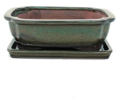 Image de pot à bonsaï avec soucoupe, taille 3 - couleur olive-brun - forme angulaire - modèle G12 - longueur 18 cm - largeur 14 cm - hauteur 5,5 cm