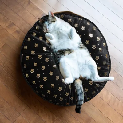 Image de Coussin Pour Animaux 60x60x10cm