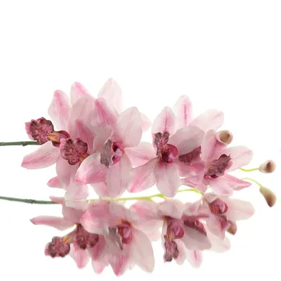 Produktbild von GASPER Orchidee - Cymbidium Rosa 97 cm - Kunstblumen