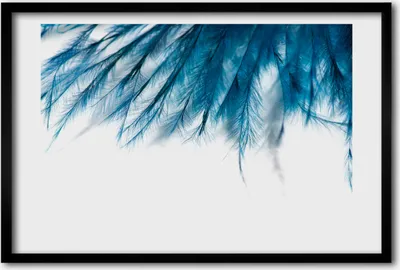 Produktbild von Bild 60x40 MDF-Rahmen, Wandkunst blaue Federn