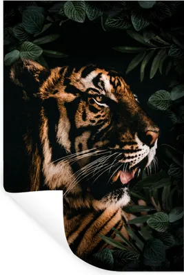 Produktbild von MuchoWow® - Sticker - Dekorfolie