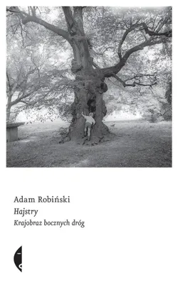 Image de Hajstry. Krajobraz bocznych dróg - literacki debiut 2023