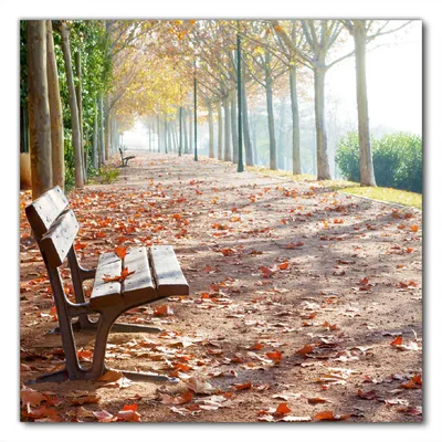 Produktbild von Wallario selbstklebende Möbelfolie/ Tischdecke für Innen und Außen, Größe: 90 x 90 cm - Einsame Parkbank an einer Allee - Herbststimmung
