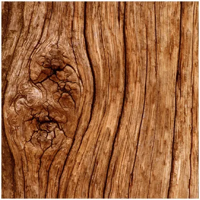 Produktbild von Wallario Premium Glasbild, freischwebende Optik, kräftige Farben, Größe 30 x 30 cm Motiv Holzstamm mit Asteinschluss