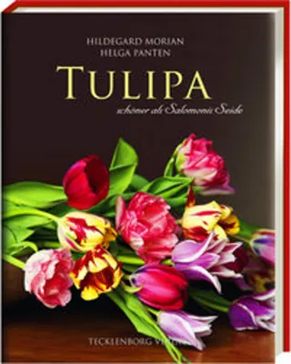 Obrázek produktu pro Tulipa