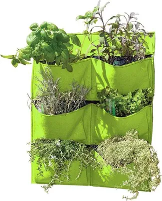 Imagen del producto de Macetas colgantes para plantas - Color verde limón - Ideales para interiores y exteriores