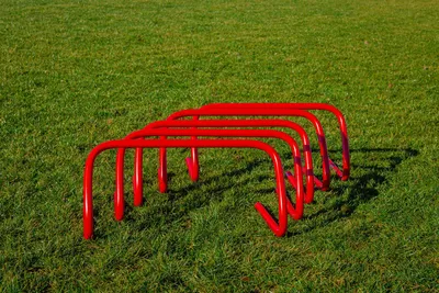 Immagine prodotto di Set di 5 siepi - 23 cm