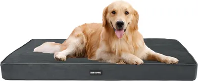 Produktbild von Orthopädisches Hundebett – für große Hunde – 112 cm – 10 cm dick – waschbar – rutschfeste Unterseite